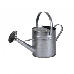 Galvanise Watering Can 5L