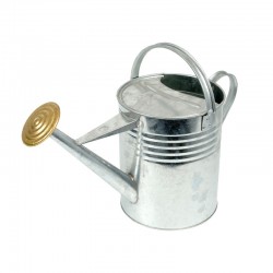 Galvanised Watering Can 2G (10L)