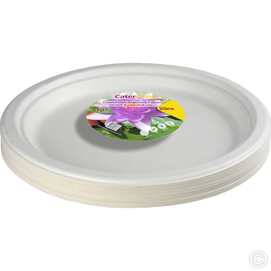 Disposable Paper Bagasse Plates 10