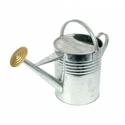 Galvanised Watering Can 2G (10L)